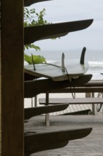 Support, Board, North coast, Camburi, São Paulo, Brazil