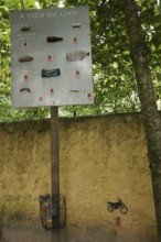 Plate, Wall, North coast, Camburi, São Paulo, Brazil