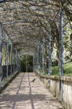 Park, Crow, Parc des Glacières, Bolougne-Billancourt, Hauts-de-Seine (92), Ile de France, France