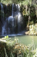 Forest, Nature, Seis Cachoeiras Park, Bonito, Mato Grosso do Sul, Brazil