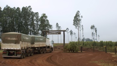Truck, Highway Between São Paulo and Campo Grande, Mato grosso do Sul, Brazil