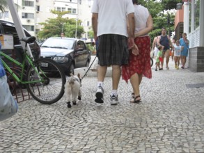People, City, Ipanema, Rio de Janeiro, Brazil