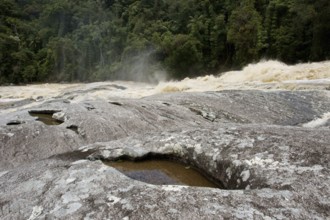 Forest, Water, Serra do Mar State park, Núcleo Santa Virgínia, São Paulo, Brazil