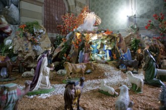 Stable, 29/12/2009, São Luís do Paraitinga, São Paulo, Brazil