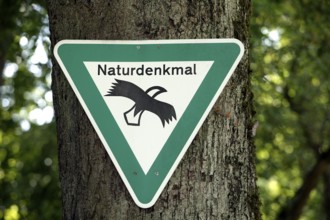 Sign Naturdenkmal, natural monument, on a tree, Passau, Bavaria, Germany