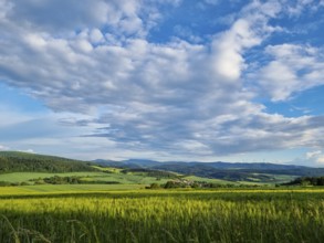 Sunny summer landscape with fields, meadows and forests (smartphone photo) . Hübental,