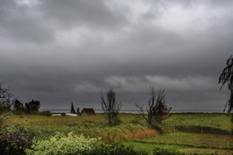 Dark rain clouds (Nimbostratus) over the lagoon, Ahrenshoop, Darß, Mecklenburg-Western Pomerania,