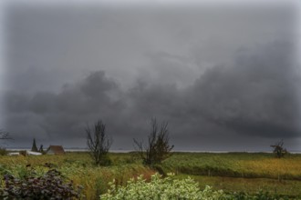 Dark rain clouds (Nimbostratus) over the lagoon, Ahrenshoop, Darß, Mecklenburg-Western Pomerania,