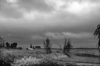 Dark rain clouds (Nimbostratus) over the lagoon, black and white, Ahrenshoop, Darß,