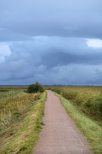 Hiking trail through the lagoon landscape, rain clouds (Nimbostratus), Ahrenshoop, Darß,