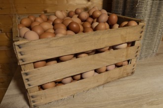 Natural fresh eggs in wooden boxes prepared by the farm for regional sale