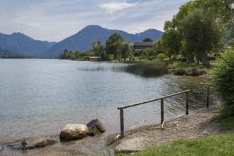 Landscape near Bad Wiessee, shore of Tegernsee, behind Rottach Egern, Upper Bavaria, Bavaria,