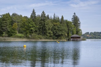Hütte am Ufer des Tegernsee, Wald, Bad Wiessee, Upper Bavaria, Bavaria, Germany