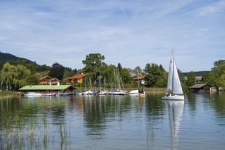 Yachthafen am Tegernsee, Marina, Bad Wiessee, Upper Bavaria, Bavaria, Germany