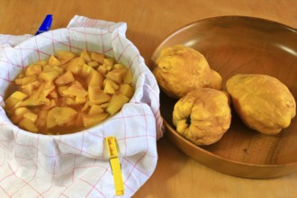 Make your own quince jelly, quinces in a bowl, Germany