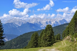 View from an alpine pasture near the Acherkogel in the Stubai Alps in Hochoetz, Ötz, Ötztal, Tyrol,