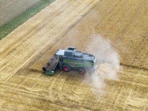 A combine harvester works in a cornfield and stirs up dust during harvesting, basket in Remstal,