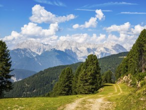 View from an alpine pasture near the Acherkogel in the Stubai Alps in Hochoetz, Ötz, Ötztal, Tyrol,
