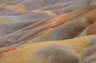 Part detail of hill with rare coloured seven-coloured earths from Chamarel, Terres des Couleurs,