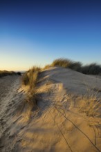 Dunes and blue sky in winter, sunset, Spiekeroog, East Frisian Islands, Lower Saxony, Germany