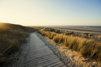 Trail in the dunes and blue sky in winter, sunset, Spiekeroog, East Frisian Islands, Lower Saxony,