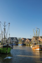 Harbour and blue sky in winter, Carolinensiel, Wittmund, East Frisia, Lower Saxony, Germany