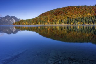 Mountain lake, mountains, morning light, reflection, autumn, autumn color, forest, shore,