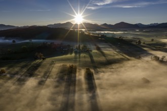 Mountains, sunny, morning light, autumn color, sun, back light, sun rays, fog, aerial view, view of