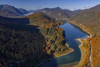Mountain lake, mountains, sunny, morning light, autumn, autumn color, forest, aerial view,