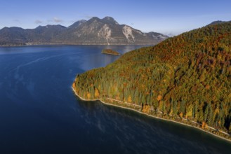 Mountain lake, mountains, sunny, morning light, autumn, autumn color, forest, aerial view,