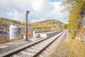 Railway track with autumn leaves, modern architecture and mountainous background, ZOB Calw, Hermann