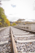 Abandoned tracks with autumn leaves along a platform, ZOB Calw, Hermann Hessebahn, Calw, Germany