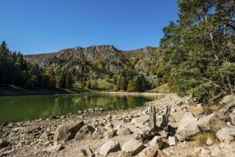 Picturesque mountain lake in autumn, Lac de Forlet, Lac des Truites, Col de la Schlucht, Vosges,