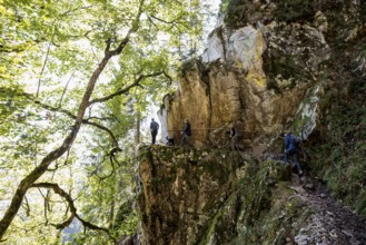 Alpine trail and rocks, at Hohneck, Col de la Schlucht, Vosges, Alsace-Lorraine, Vosges Haut-Rhin