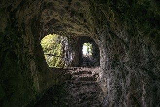 Hiking trail and cave, Château de Wildenstein, Kruth, Vosges, Alsace-Lorraine, Vosges Haut-Rhin