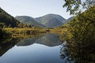 Picturesque moor lake in autumn, Lac de Urbès, Vosges, Alsace-Lorraine, Vosges Haut-Rhin