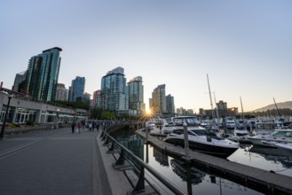 Boats in marina at sunset, skyscrapers on promenade with sun star, Coal Harbour, Vancouver, British