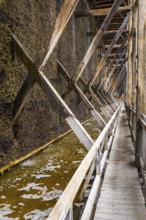 Graduation tower, spa city of Bad Orb, Spessart Nature Park, Main-Kinzig district, Hesse, Germany