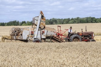 Older tractor-drawn Claas combine harvester harvesting wheat at old-fashioned harvest festival in