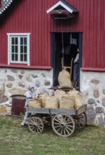 Older wagon with sacks of grain being delivered to the mill in Svenstorp, Ystad Municipality, Skåne