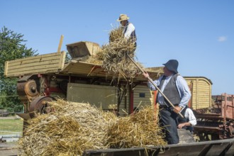 Work at old stationary thresher at old-fashioned harvest festival in Svenstorp, Ystad municipality,
