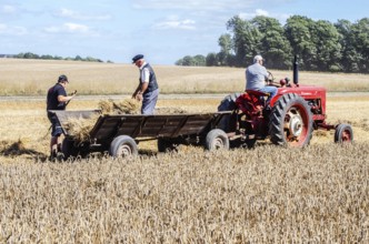 Older tractor with wagon in harvesting wheat at old-fashioned harvest festival in Svenstorp, Ystad