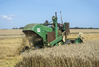 Older Termaenius combine harvester harvesting wheat at old-fashioned harvest festival in Svenstorp,