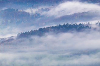 Inversion weather, fog, dawn, autumn, view from Breitenstein in Mischwald, Ochsenwang, Swabian