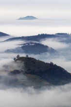 Inversion weather, fog, dawn, autumn, view from Breitenstein to Limburg, Ochsenwang, Swabian Jura,