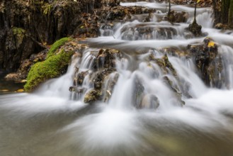Sinterterrassen der Weißen Lauter, Bach, Water, Autumn, Donntal, Gutenberg, Swabian Jura,