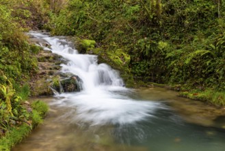 Small waterfall, sinter steps, autumn, Brühlbach, Maisental, Bad Urach, Swabian Jura,