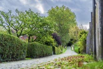 Hill of Koppenberg, Cobblestones at the cycling classic Tour of Flanders, Ardennes, Flanders,