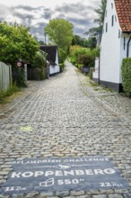 Hill of Koppenberg, Cobblestones at the cycling classic Tour of Flanders, Ardennes, Flanders,