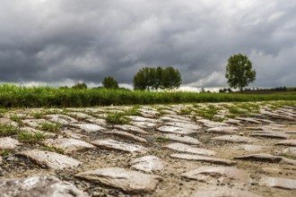 Pave, Mons-en-Pevele, Cobblestones at the cycling classic Paris to Roubaix, Departement North,